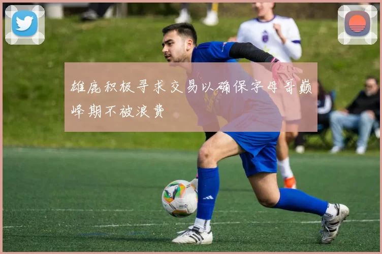 雄鹿积极寻求交易以确保字母哥巅峰期不被浪费